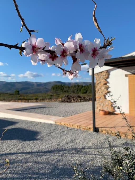 La Llobatera Casa Rural Les Coves de Vinroma エクステリア 写真