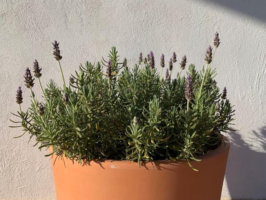 La Llobatera Casa Rural Les Coves de Vinroma エクステリア 写真